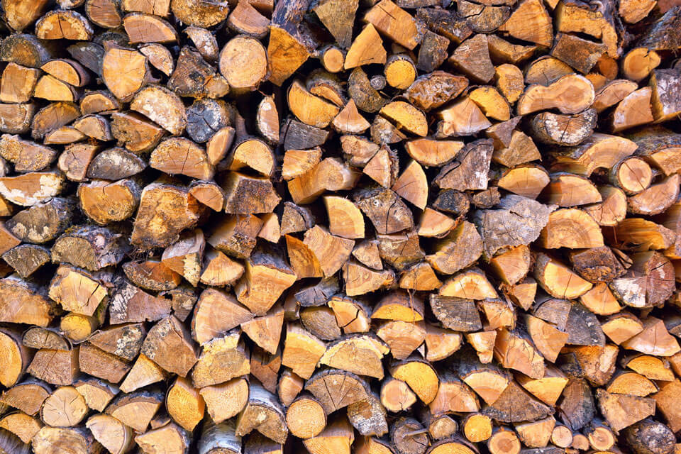 firewood.jpg